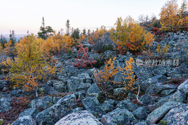 A view from a rocky Iso Pyhätunturi peak on an autumn morning in Salla National Park, Finland